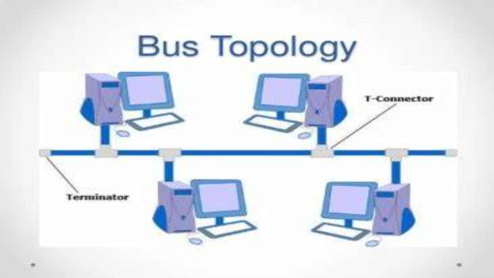 topologi bus k euntungan.jpeg